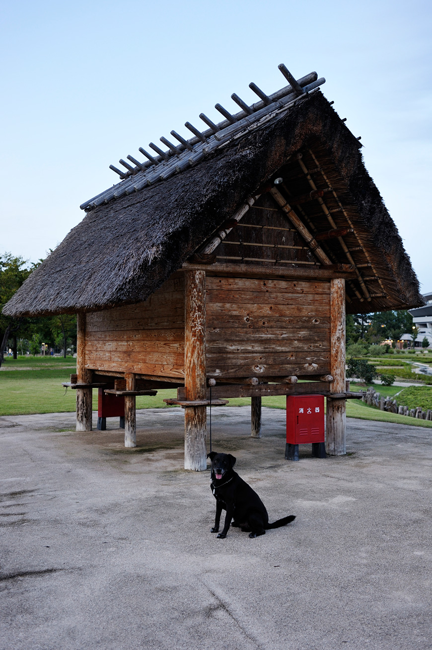 f:id:banriman:20110920140521j:image