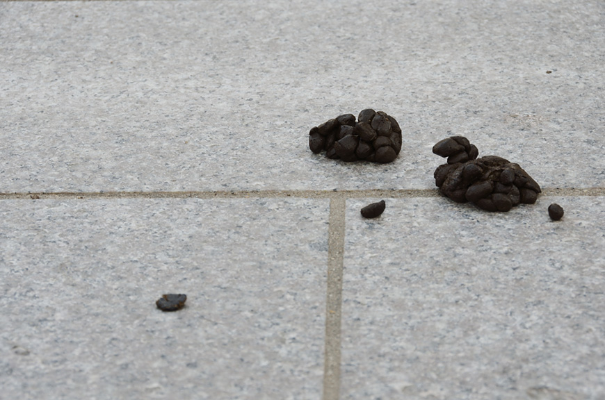 f:id:banriman:20111019211226j:image