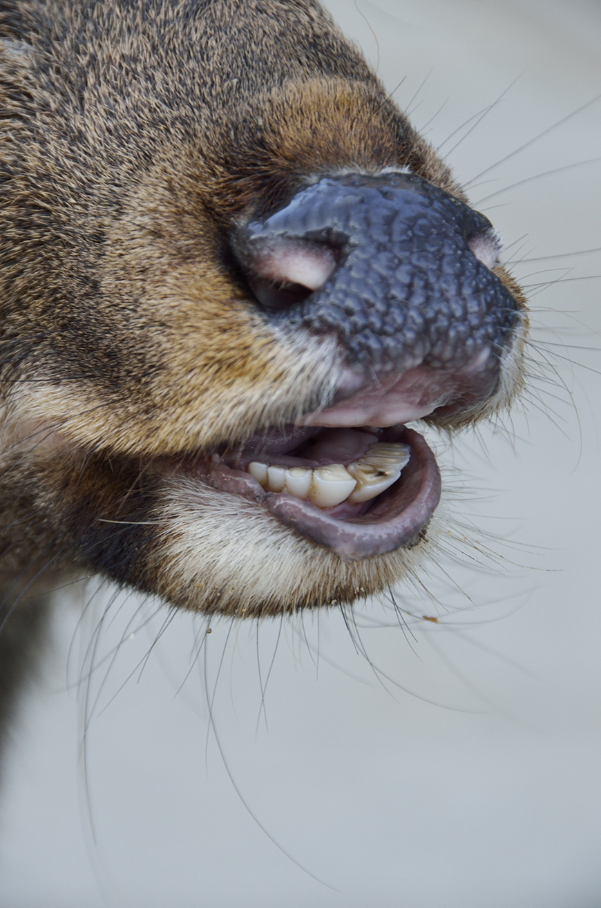 f:id:banriman:20111019211228j:image
