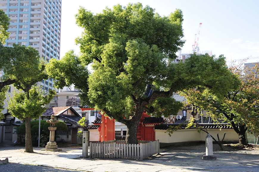 f:id:banriman:20111101175049j:image