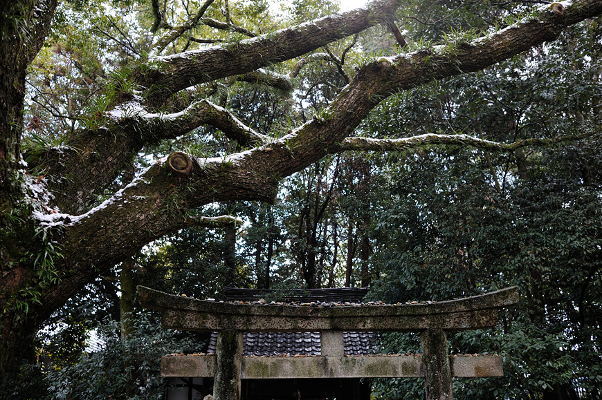 f:id:banriman:20120218194539j:image