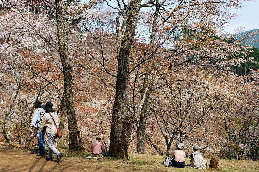 f:id:banriman:20120424200346j:image
