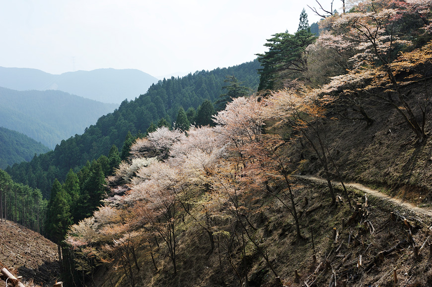 f:id:banriman:20120424200347j:image