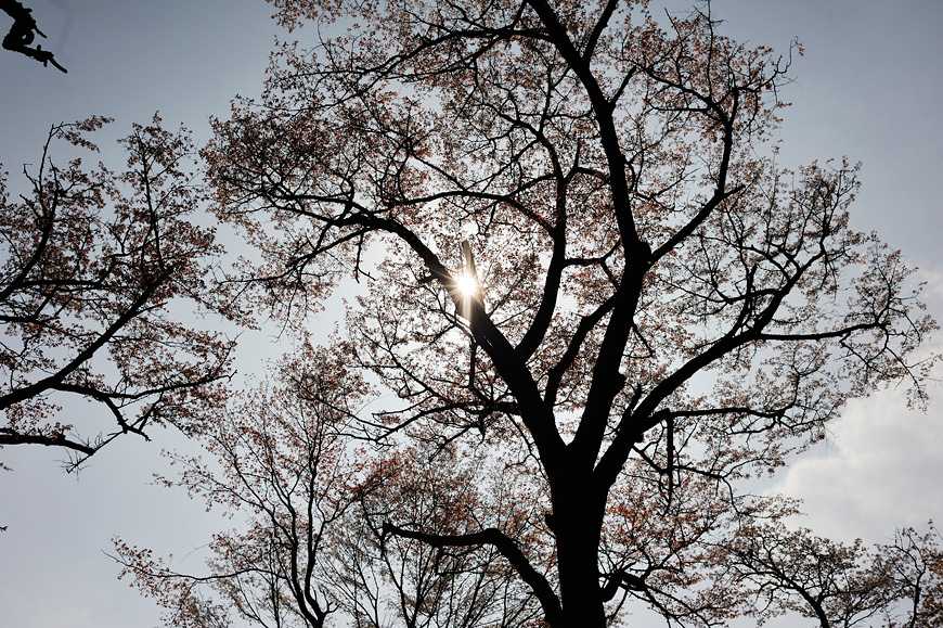 f:id:banriman:20120424200349j:image