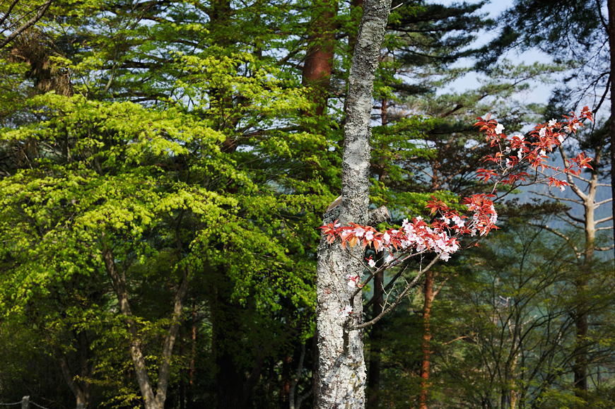 f:id:banriman:20120424200350j:image