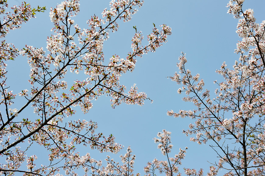 f:id:banriman:20120424200351j:image