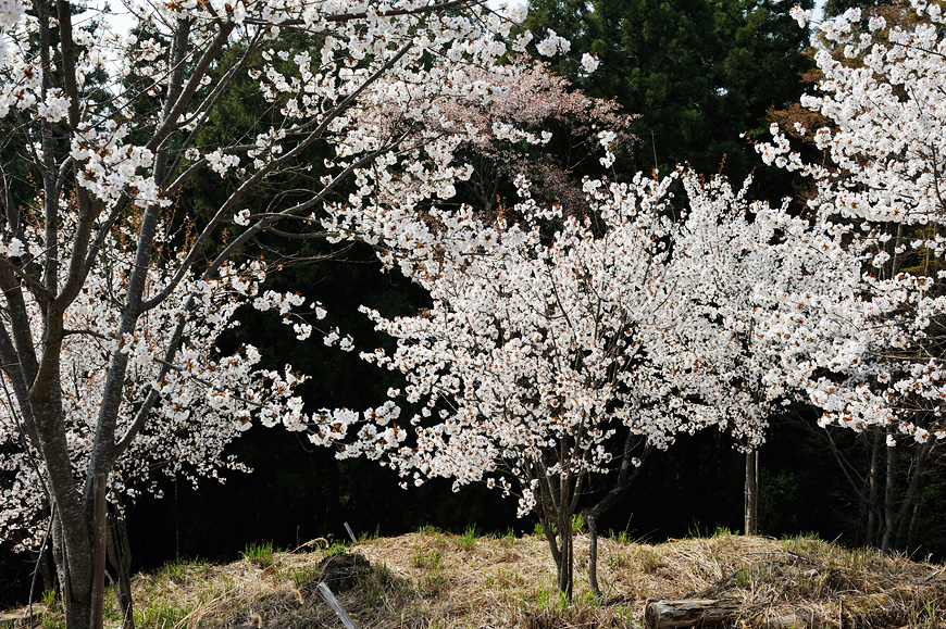 f:id:banriman:20120424200352j:image