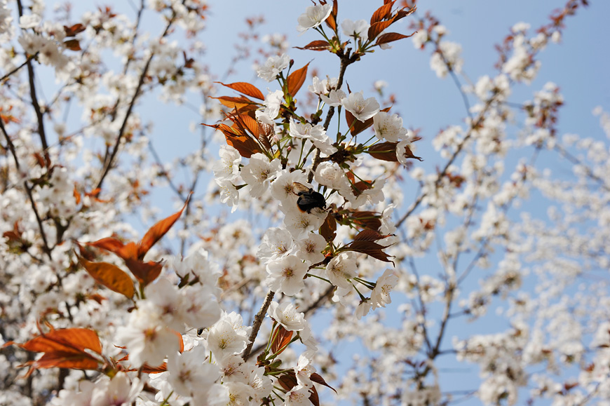 f:id:banriman:20120424200353j:image