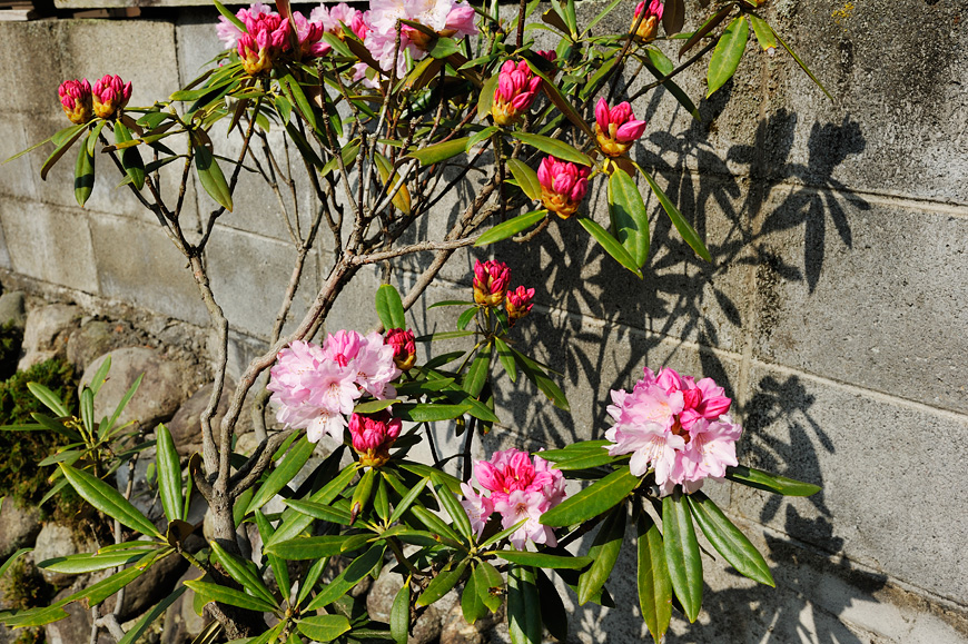f:id:banriman:20120424200355j:image
