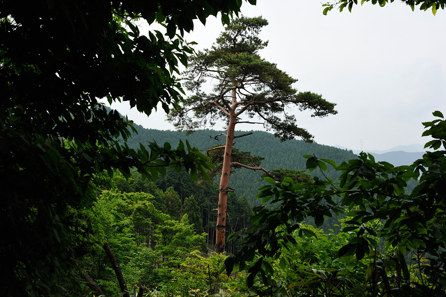 f:id:banriman:20120604152942j:image