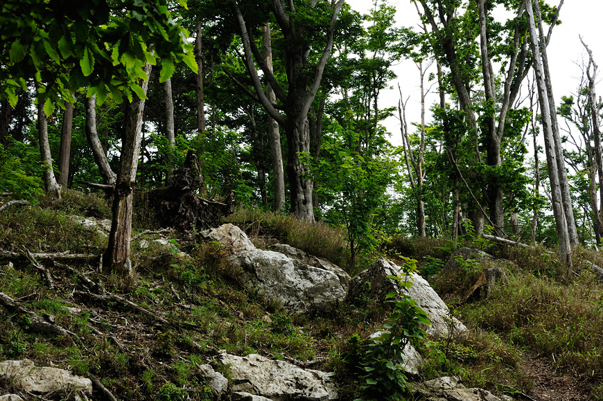 f:id:banriman:20120604152944j:image