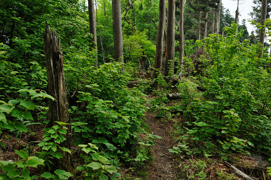 f:id:banriman:20120604152947j:image