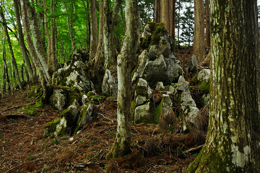 f:id:banriman:20120604152949j:image