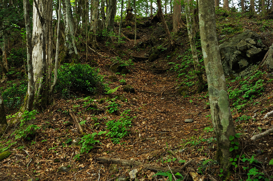 f:id:banriman:20120604152950j:image