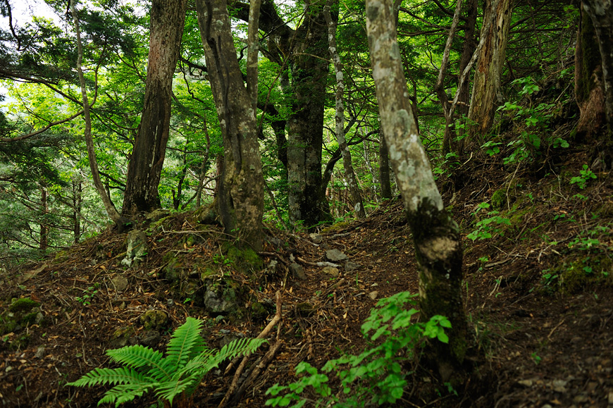 f:id:banriman:20120604152951j:image