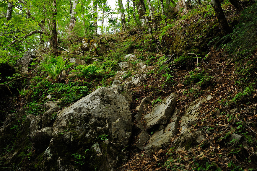 f:id:banriman:20120604152953j:image