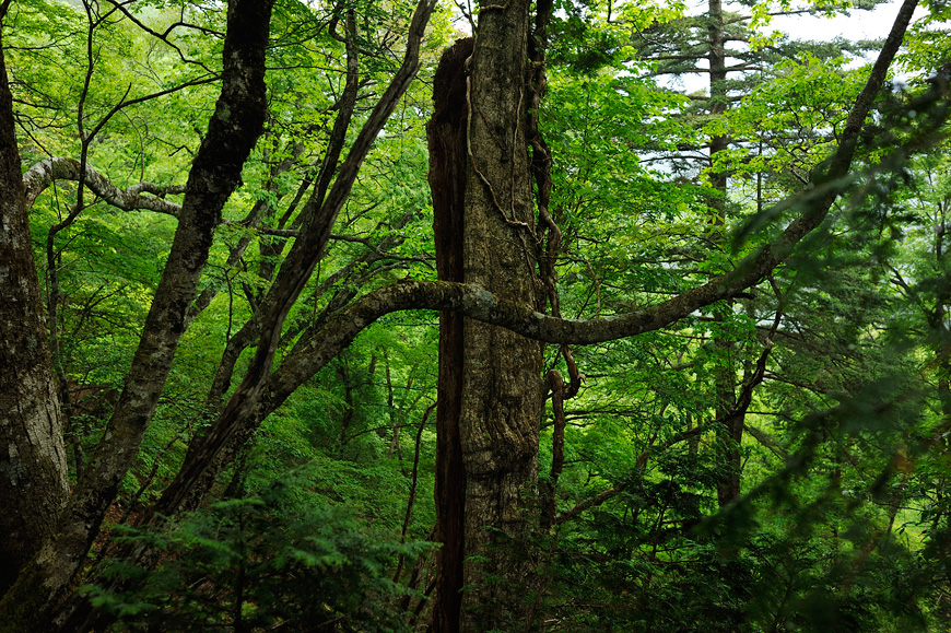 f:id:banriman:20120604152954j:image