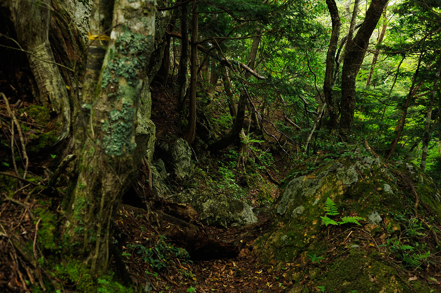 f:id:banriman:20120604152955j:image