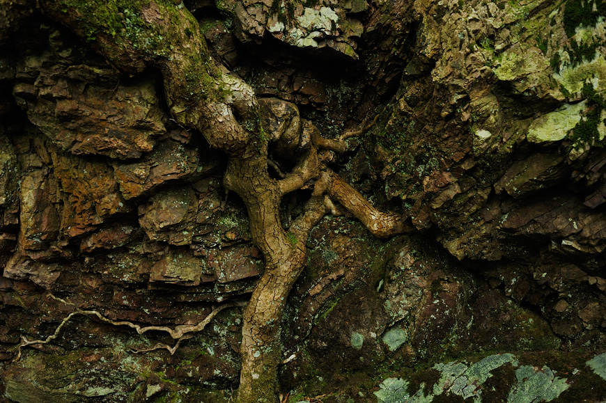 f:id:banriman:20120604152956j:image