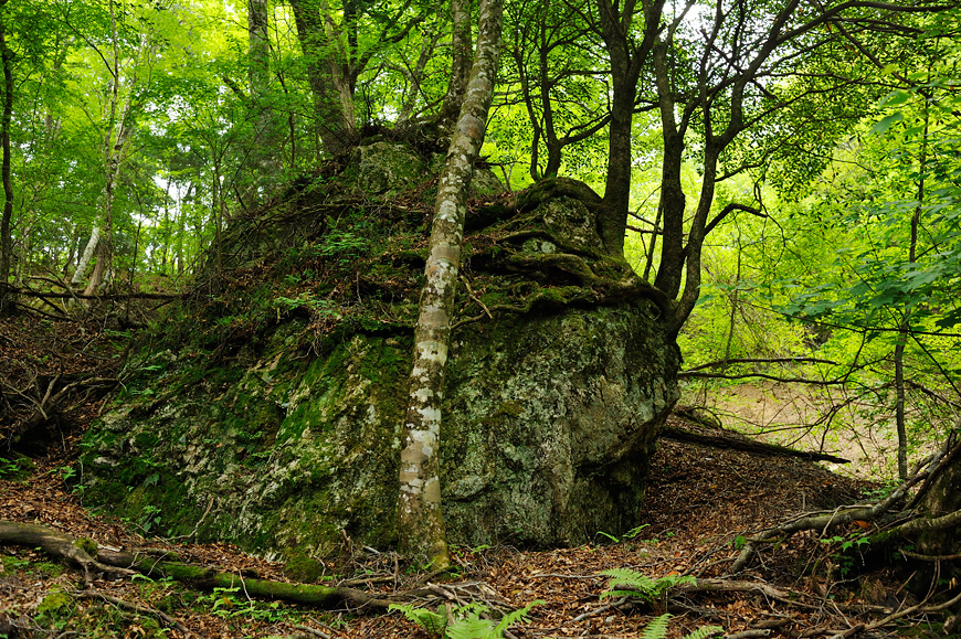 f:id:banriman:20120604153000j:image