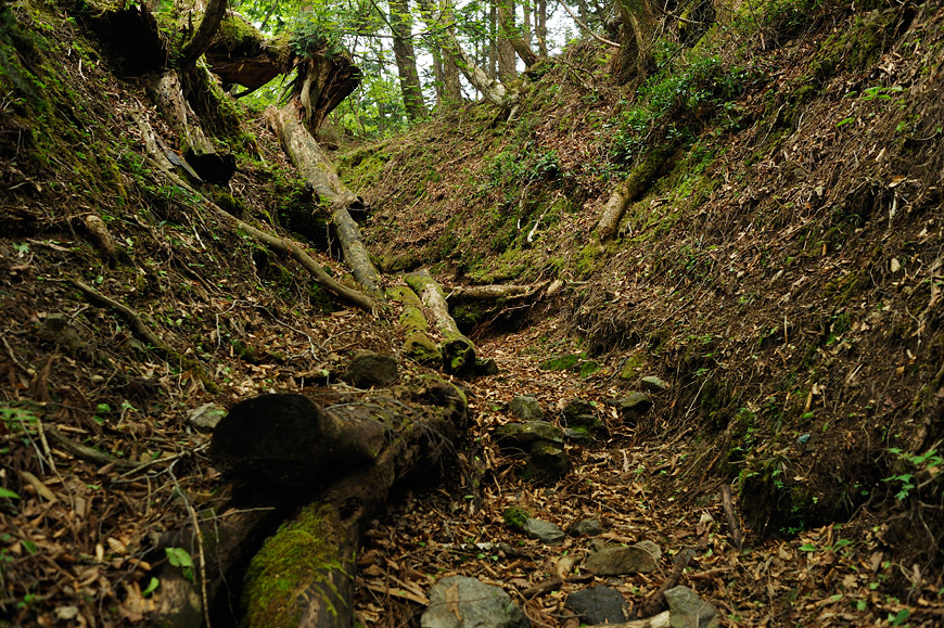 f:id:banriman:20120604153001j:image