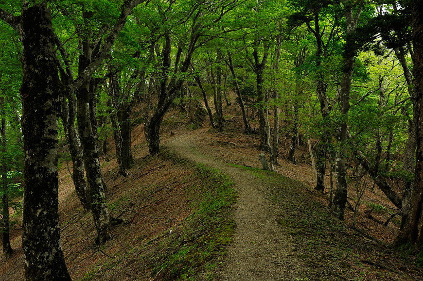 f:id:banriman:20120604153003j:image