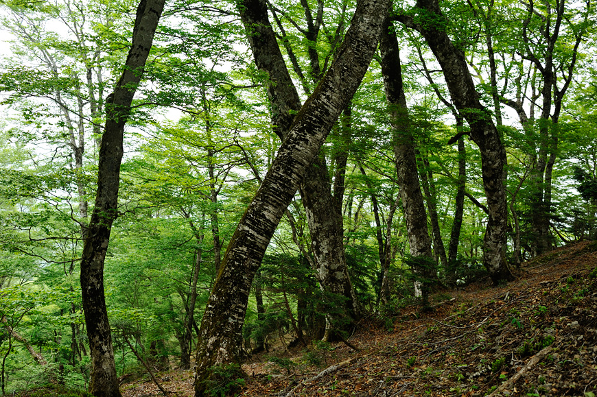 f:id:banriman:20120604153004j:image