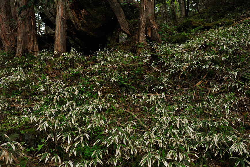 f:id:banriman:20120604153006j:image