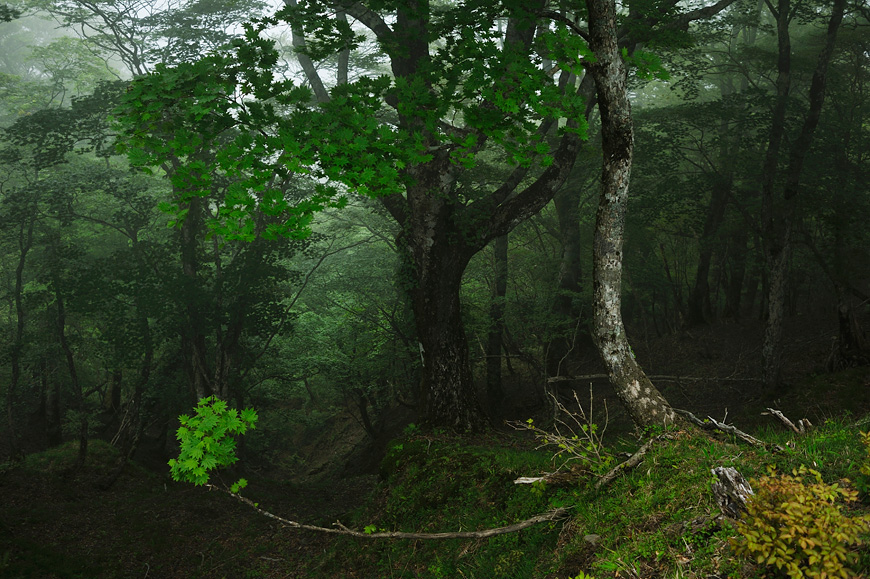 f:id:banriman:20120604153008j:image
