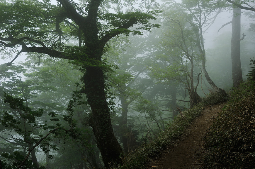 f:id:banriman:20120604153010j:image