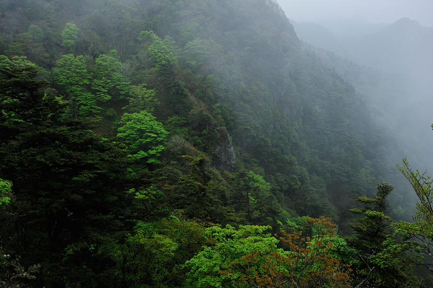 f:id:banriman:20120604153012j:image