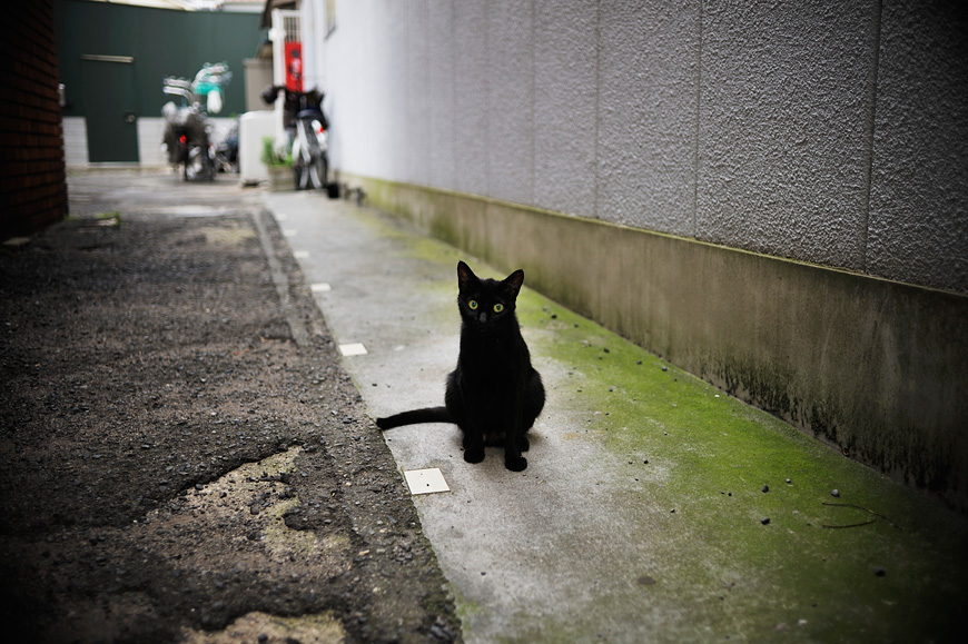 f:id:banriman:20120711203348j:image