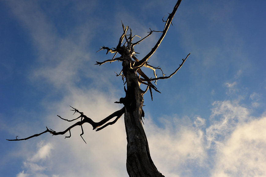 f:id:banriman:20120826234803j:image