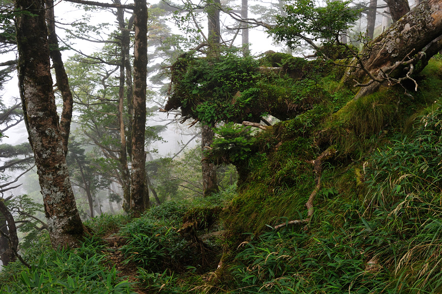 f:id:banriman:20120826234804j:image