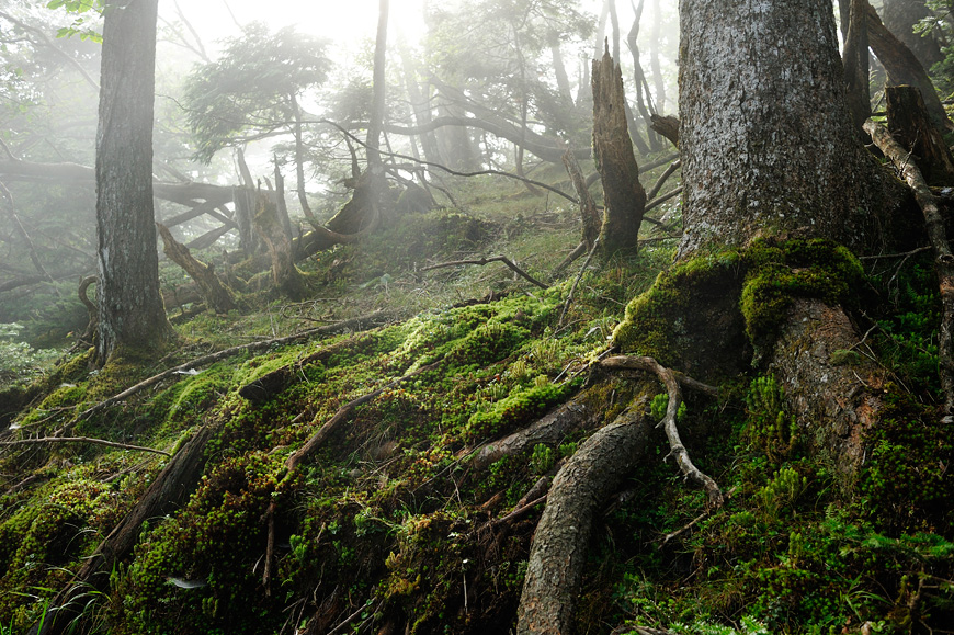 f:id:banriman:20120826234807j:image