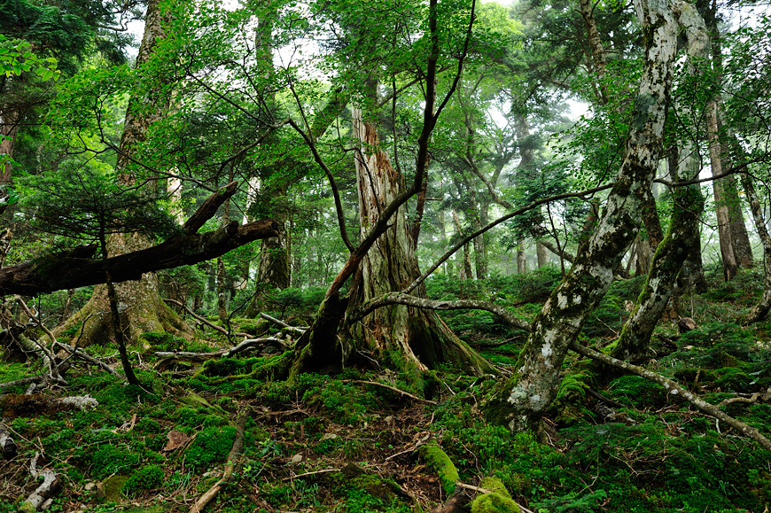 f:id:banriman:20120826234820j:image