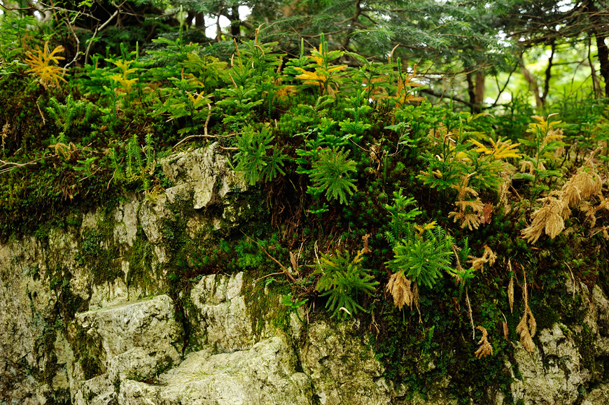 f:id:banriman:20120826234830j:image