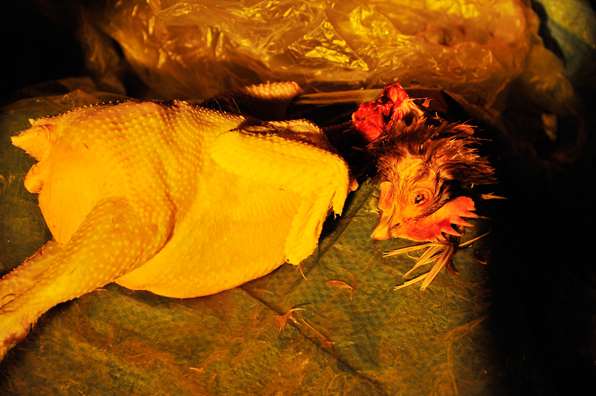 f:id:banriman:20121104111416j:image f:id:banriman:20121104111416j:image