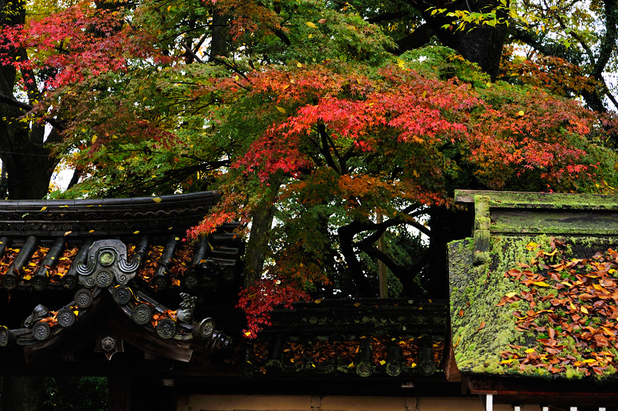 f:id:banriman:20121126230404j:image