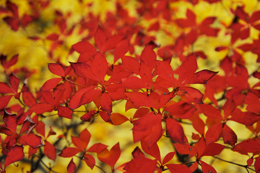 f:id:banriman:20121129002534j:image