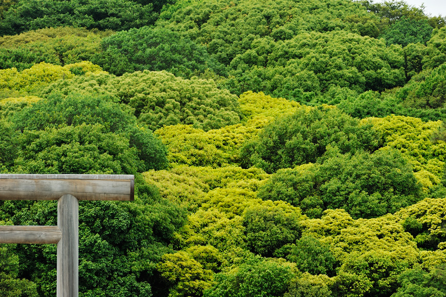 f:id:banriman:20130601212449j:image