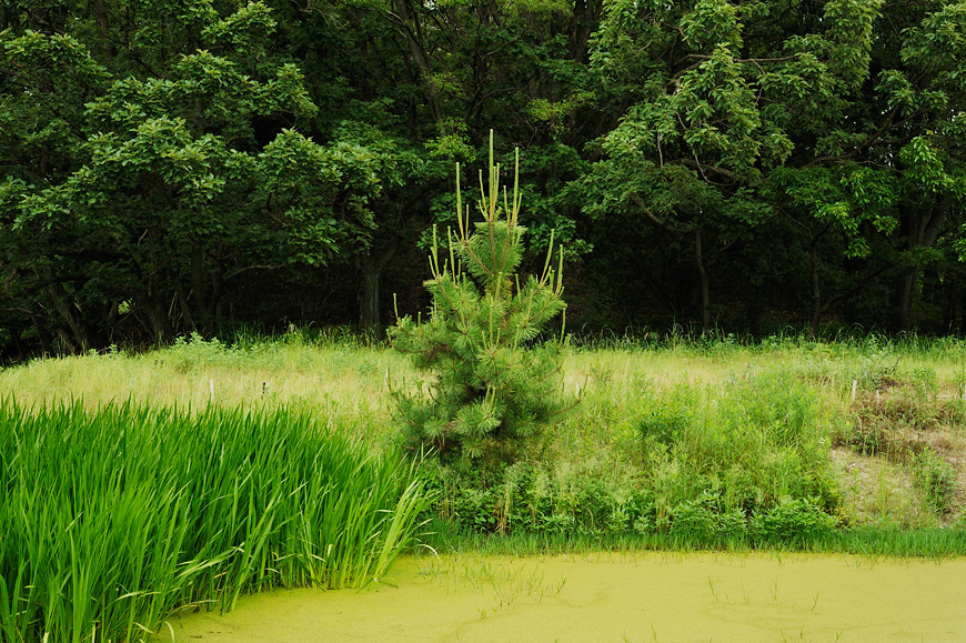 f:id:banriman:20130601212451j:image