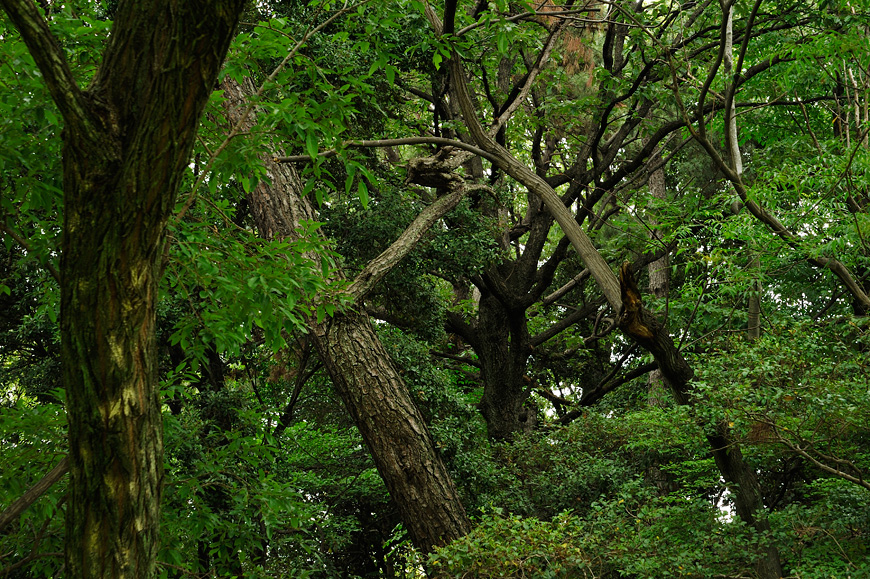 f:id:banriman:20130601212452j:image