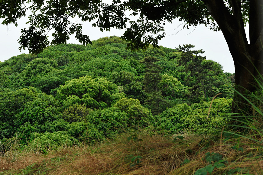 f:id:banriman:20130601212453j:image