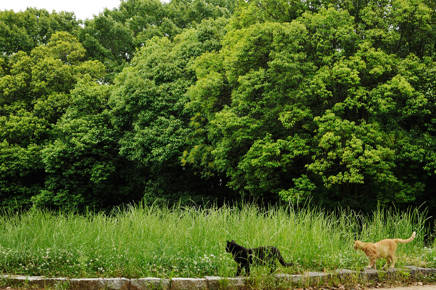 f:id:banriman:20130601212455j:image