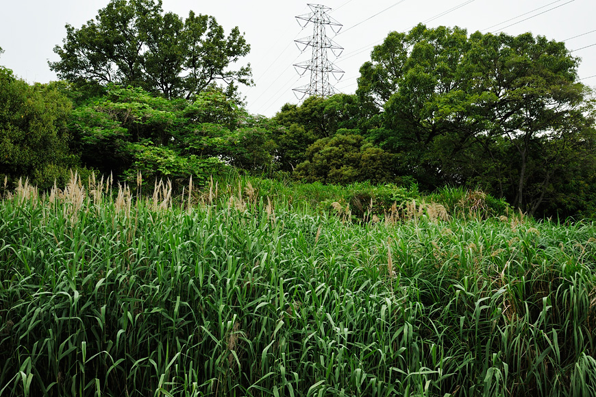 f:id:banriman:20130601212456j:image