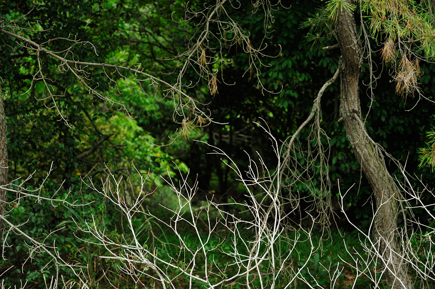 f:id:banriman:20130601212500j:image