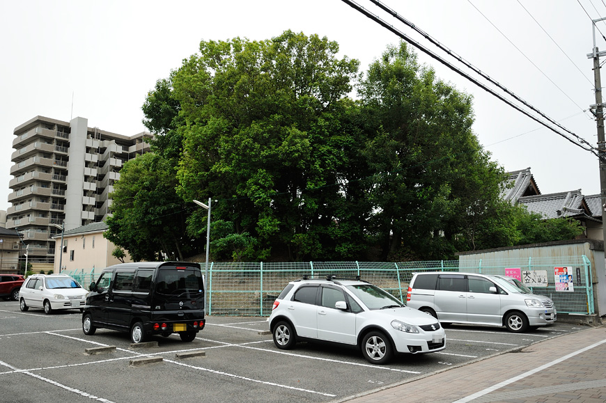 f:id:banriman:20130601212501j:image