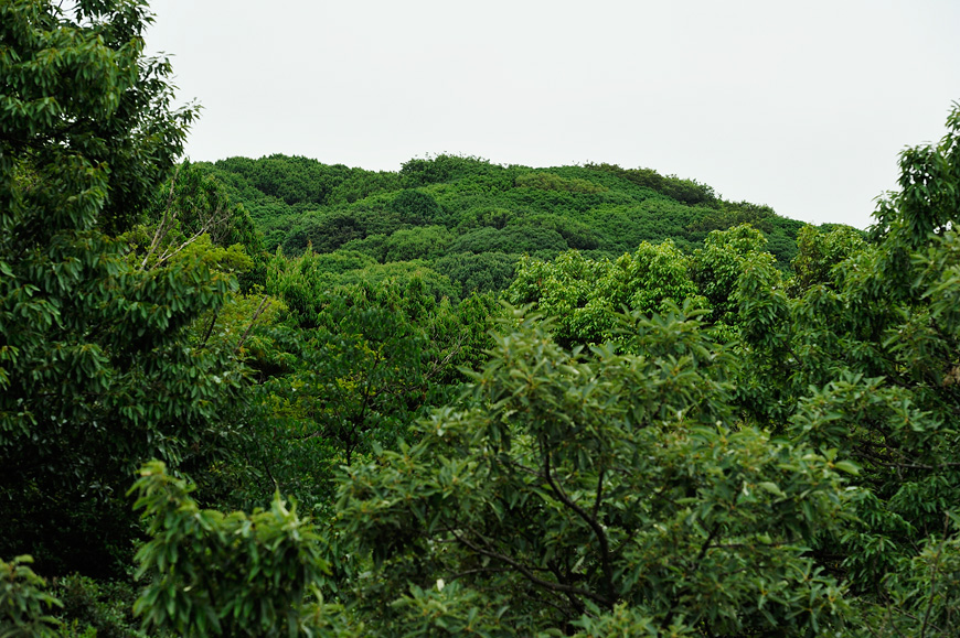 f:id:banriman:20130601212504j:image