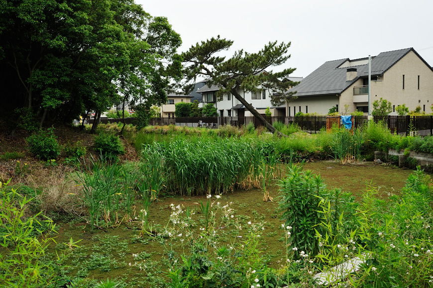 f:id:banriman:20130601212508j:image